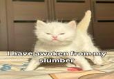 I have awoken from my slumber