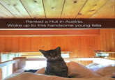 Rented a Hut in Austria. Woke up to this handsome young fella.