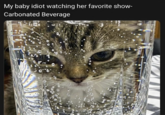 My baby idiot watching her favorite show- Carbonated Beverage g