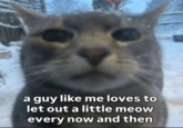 a guy like me loves to let out a little meow every now and then