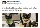 Punch Cat @PunchingCat she looks like a character out of a studio ghibli film