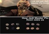 How we see Jedi Master Plo Koon How Jedi Master Plo Koon sees us