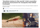 'Smallest statue in the world': Irish councillor proposes monument for mosquito that killed Cromwell Irish city council to consider the proposal to honour the pest linked to death of English invader Kayla McLean. CBC News Posted: May 18, 2026 7:05 PM ADT | Last Updated: May 18 Listen to this article ① Estimated 6 minutes