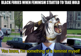 BLACK FURIES WHEN FEMINISM STARTED TO TAKE HOLD You know, I'm something of a feminist myself imgflip.com