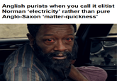 Anglish purists when you call it elitist Norman 'electricity' rather than pure Anglo-Saxon 'matter-quickness'
