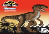 JURASSIC PARK Kenner VELOCIRAPTOR P D DINOMAN