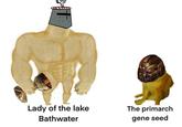 Lady of the lake Bathwater The primarch gene seed