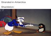 Stranded in Antarctica Shackleton: made with mematic