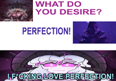 WHAT DO YOU DESIRE? PERFECTION! I F*CKING LOVE PERFECTION!