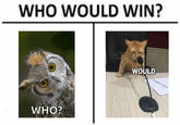 WHO WOULD WIN? WHO? WOULD