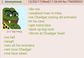 : Anonymous 12/20/17 (Wed)11:26:04 No.754399201 >Be me >weakest man in tribe >se Chadgar sexing all womans im he cave >get mind idea >pick up big rock 317 KB PNG >he fall >laugh >throw at Chadgar head >sex all his womans >am now Chadgar >me face when