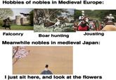 Hobbies of nobles in Medieval Europe: Falconry Boar hunting Jousting Meanwhile nobles in medieval Japan: I just sit here, and look at the flowers