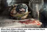 When Dark Eldars attack your ship and that Wych instead of killing you winks