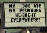 MY DOG ATE MY PRONOUNS H------IT EVERYWHERE!