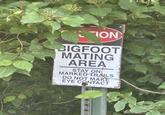 ION BIGFOOT MATING AREA STAY ON MARKED TRAILS DO NOT MAKE EYE CONTACT