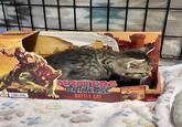 MASTERS OF THE UNIVERSE BATTLE CAT FIGHTING TIGER TIGRE DE COMBAY TRY NEI PRUEBAME ESSAIE-MON EXPERIMENTE MATTEL