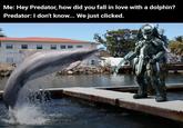 Me: Hey Predator, how did you fall in love with a dolphin? Predator: I don't know... We just clicked.