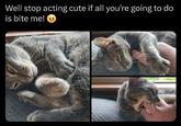 Well stop acting cute if all you're going to do is bite me!