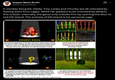 Supper Mario Broth @MarioBrothBlog 0 In Donkey Kong 64, Diddy, Tiny, Lanky and Chunky are all unlocked by freeing them from cages. While DK appears to be unlocked by default, this is false: internally, the game only unlocks him by opening the door to exit DK Island. The entirety of DK Island is his personal cage. 9 DONKEY KONG The tutorial segment of Donkey Kong 64 takes place inside DK Island. After exiting out into the overworld, Donkey Kong gains access to a Tag Barrel, which shows the other four Kongs, yet to be unlocked, as colorful question marks. The Kongs are all unlocked by freeing them from their cages that they were imprisoned in by King K. Rool. G 7 It is logical to assume Donkey Kong is simply unlocked by default, but this is false! Clipping out of DK Island and entering the Tag Barrel with another Kong later shows that DK has his own "yet to be unlocked" question mark! ALT So what causes him to be unlocked? It is hitting this switch to open the gate to exit the inside of DK Island, which counts as his own personal cage. Source: tcrf.net user "Alley", tcrf.net/File:DK64_YellowQ_TagBarrel.png