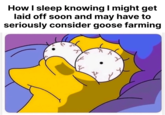 How I sleep knowing I might get laid off soon and may have to seriously consider goose farming