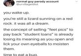 normal guy parody account @urvillageidiot you wake up. you're still a lizard sunning on a red rock. it was all a dream. the concept of selling "feet pics" to pay back "student loans" is already losing its meaning as you open and lick your own eyeballs to moisten them. time to eat a bug. <