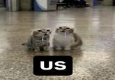 US