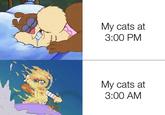 My cats at 3:00 PM My cats at 3:00 AM