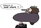 where is ned stark ?