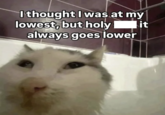 I thought I was at my lowest, but holy always goes lower it