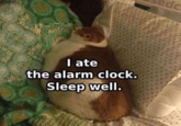 I ate the alarm clock. Sleep well. dc