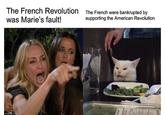 The French Revolution The French were bankrupted by was Marie's fault! supporting the American Revolution imgflip.com