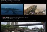 "We have to coexist" Cuts from this to this. MIB @MonsterIslandB. 17h "Life will find a way" ...and then most of the dinosaurs just DIE