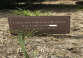 I may not know my flowers, but I know a bl when see one!