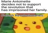 Marie Antoinette decides not to support the revolution that has imprisoned her family. French Revolutionaries: imgflip.com