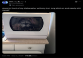 elsie @_LOVERiplier_ Fan account stood in front of my dishwasher with my iron lung shirt on and nearly s--- myself 6:25 PM - May 3, 2026 710.9K Views