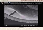 Anonymous Zoya @Zoya_ki_batein - 19h 06/03/26(Wed)05:12:17 No.84722480 Scientists in Sweden discovered that the egg can ignore the "ideal" sperm, even if it's the first to arrive 0:04 / 0:05 » ✡ y k 70 KB JPG >NNNNNOOOO YOU HAVE TO LET ME IN, I'M A NICE GUY