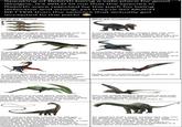 Speaking of Rebirth being a safe place for good designs, it's WILD to me that the species in Rebirth were rejected by the park for being defective and wrong, yet they're SO MUCH BETTER than the species that actually got accepted to the park! What got rejected: What got accepted: Colorful and unique specimen(s) that was up A crocodile that's been molded like clay into to date with modern science while also retaining a more scary looking face for a "more teeth" mentality, but remains easily identifiable as a Spinosaurus. what vaguely resembles a Baryonyx at a glance, has extremely dull colors, and has the unique traits of Baryonyx dialed down for no real reason. A colorful specimen that's pleasing to the eye with a good skin texture that retains the easily identifiable traits of a Mosasaurus, while keeping the extremely large size and presence, and giving it a speculative evolution trait of a whale-like belly (which looks really f------ cool). A crocodile that's been molded like clay into a Mosasaurus, has only one (albeit actually nice) color, has aesthetically displeasing scutes, and in general looks kinda knobly and wrinkly. (although to be fair, it is still fairly recognizable as a Mosaurus) A colorful specimen that has a unique head ornamentation that TECHNICALLY isn't wrong and is a really cool and creative case of speculative evolution, had surprisingly great anatomy, and a face that is surprisingly expressive. Duller colors, weird/messed up anatomy, an ugly face, and just overall ugly. Cute (if only in a kinda derpy way), kinda clever play on the animal's name meaning, and is pretty much an exact one-to-one to the real animal with the exception of missing feathers. (also really nice color) E Who the actual f----- approved of this both in-universe and behind the scenes seriously WHO APPROVED THIS?!?! (has pycnofibers I guess but that's it) While not too terribly colorful, it's still got some pretty nice colors (more than 90% of sauropods in the franchise), and some individuals look absolutely STUNNING, a cool speculative feature that makes it unique, correct feet, and the tails and size (for as absurd as they admittedly are) make it almost mystical and majestical. An elephant that's been molded like clay into an Apatosaurus, wrinkly as hell, old man face, only ever seen with dull grays, elephant feet, and doesn't really come off as benevolent (except for that one scene in Dominion in the snow, which admittedly is a really good and beautiful scene).