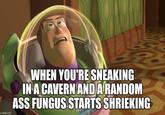 imgflip.com WHEN YOU'RE SNEAKING IN A CAVERN AND A RANDOM ASS FUNGUS STARTS SHRIEKING SPRO