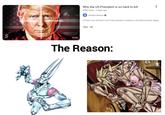Why the US President is so hard to kill 828K views - 2 days ago S Simplicissimus At HOLY you will find 3 new fruity hydration varieties in the flavors Green Apple, New 4K S 27:23 The Reason: