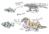 Seriously those elitist legit unintentionally strip the fun of what makes Spec fun and unpredictable in the first place, you can go crazy with your creatures especially if they are basal and are very derived, “oh b-but the science” there are frogs that exclusively live on elephant s---, and that’s just the tip of the iceberg on how actually wacky you can go with spec creatures, on God.