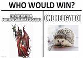 WHO WOULD WIN? THE SUPERNATURAL, POWERFUL CHARM OF A SUCCUBUS ONE HEDGY BOI imgflip.com