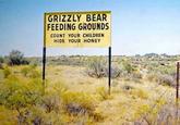 GRIZZLY BEAR FEEDING GROUNDS COUNT YOUR CHILDREN HIDE YOUR HONEY