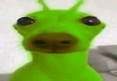 
The origin of this image arose from a meme community on Facebook, where groups of memes shared absurd humor with each other. Apa Satanll, who in 2024, on January 5, uploaded the photo of the green alien dog and years later said that he had edited the image in Medibang