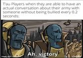 T'au Players when they are able to have an actual conversation about their army with someone without being bullied every 0.2 seconds: Ah, victory made with mematic u/emwattnet