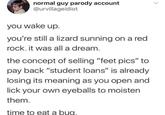 normal guy parody account @urvillageidiot you wake up. you're still a lizard sunning on a red rock. it was all a dream. the concept of selling "feet pics" to pay back "student loans" is already losing its meaning as you open and lick your own eyeballs to moisten them. time to eat a bug. <