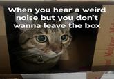 When you hear a weird noise but you don't wanna leave the box inox Mak-inox