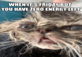 WHEN IT'S FRIDAY BUT YOU HAVE ZERO ENERGY LEFT