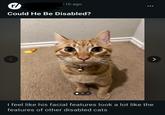 r/ 11h ago Could He Be Disabled? > I feel like his facial features look a lot like the features of other disabled cats