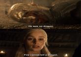 He was no dragon. Fire cannot kill a dragon.
