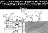1961: Guys, we successfully Artificially Inseminated a Camel! Who knows what wonders the future may hold for us? Today: Springs LEY I H H H AV